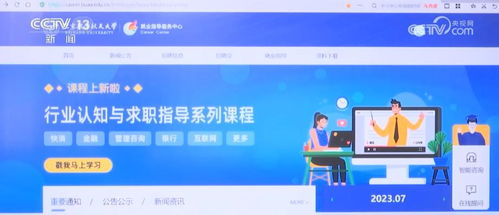 信息技術(shù)咨詢服務(wù) 智慧科技為就業(yè)服務(wù)賦能，實(shí)現(xiàn)“信息多跑路，學(xué)生少跑腿”